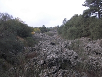otta dei Pastori04112011 154